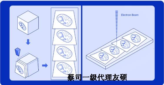 新余蔡司新余扫描电镜