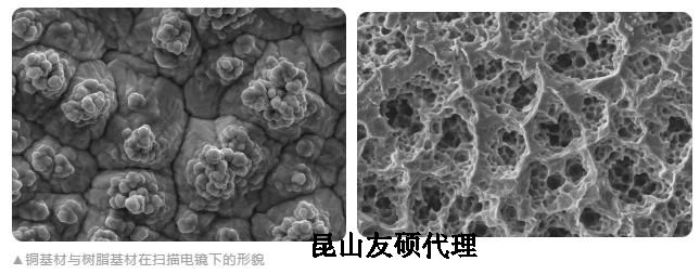 新余蔡司新余扫描电镜