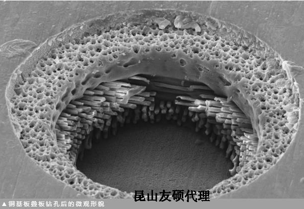 新余蔡司新余扫描电镜